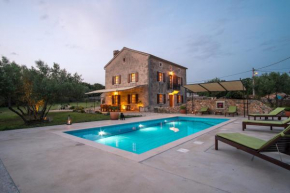 Villa with pool, olive garden and sea view by TRAVELER tourist agency Krk - ID 2147